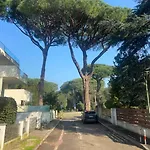 New Via Verdi