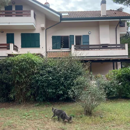 New Via Verdi Milano Marittima
